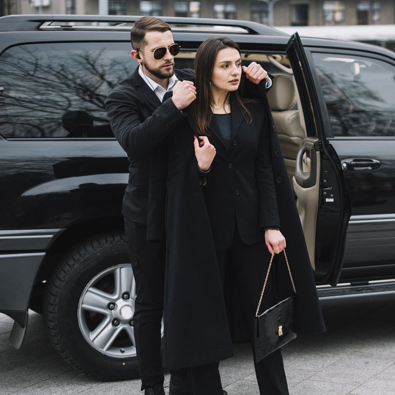 Streamline customized models